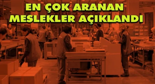 Türkiyе İş Kurumu (İŞKUR),